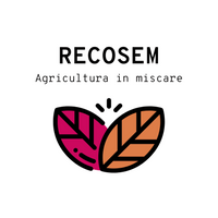 RECOSEM